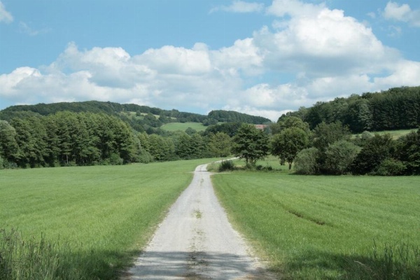 Rhönhotel Alte Mühle image 14
